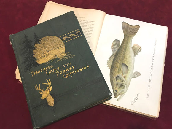 Rare and Vintage Fishing Books